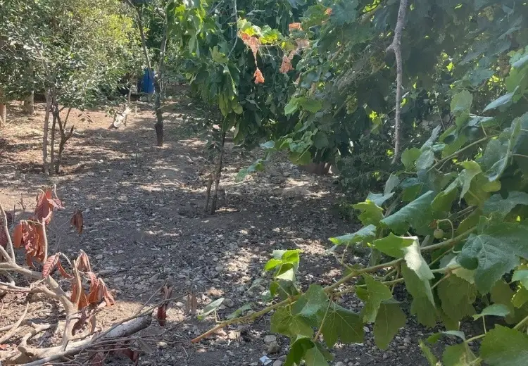 8 sot Torpaq Satılır, Yeni Ramana, Sabunçu, Bakı