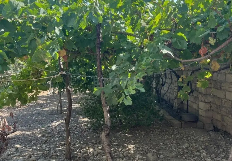 8 sot Torpaq Satılır, Yeni Ramana, Sabunçu, Bakı