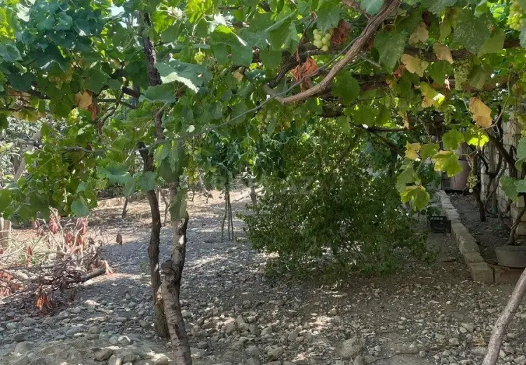 8 sot Torpaq Satılır, Yeni Ramana, Sabunçu, Bakı