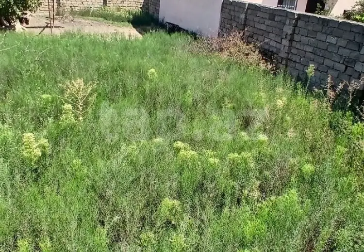 0 m² Obyekt / Ofis , Məştağa qəs., Sabunçu, Bakı