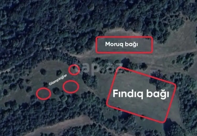 0 m² Obyekt / Ofis , Göygöl