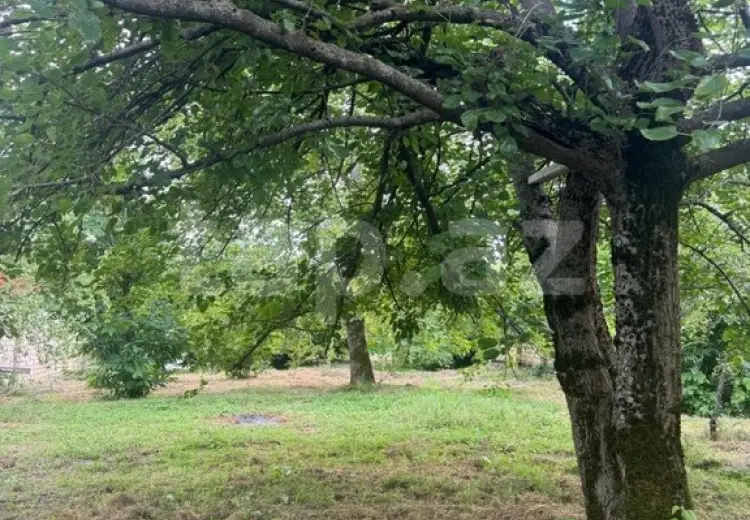 0 m² Obyekt / Ofis , Qəbələ