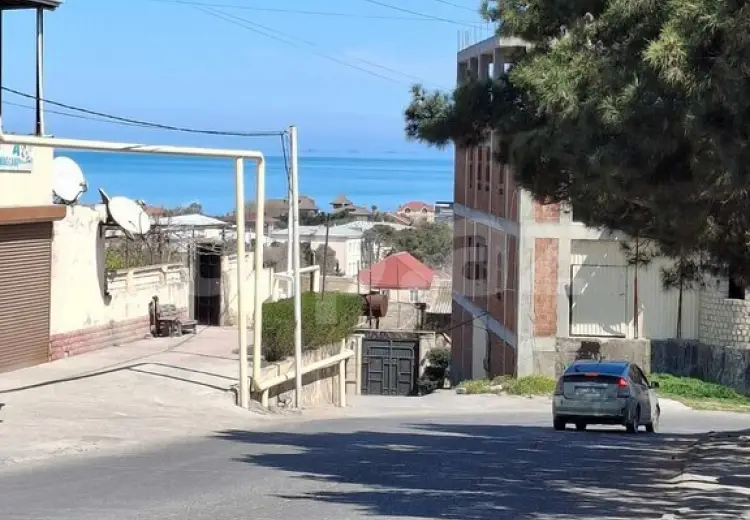 0 m² Obyekt / Ofis , Buzovna, Xəzər, Bakı