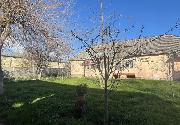 6 sot Torpaq Satılır, Qəbələ