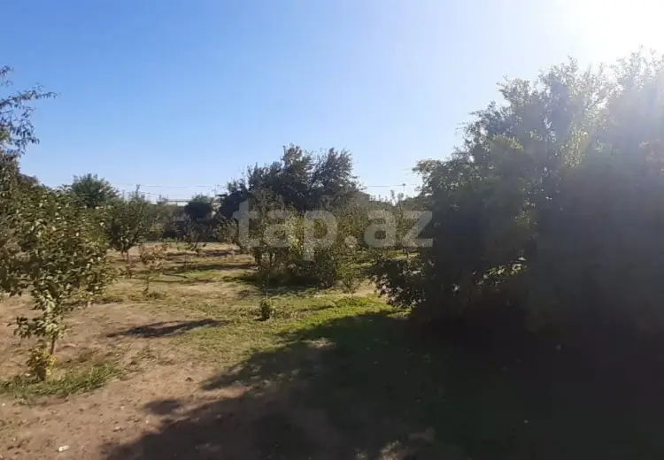 0 m² Obyekt / Ofis , Bilgəh qəs., Sabunçu, Bakı