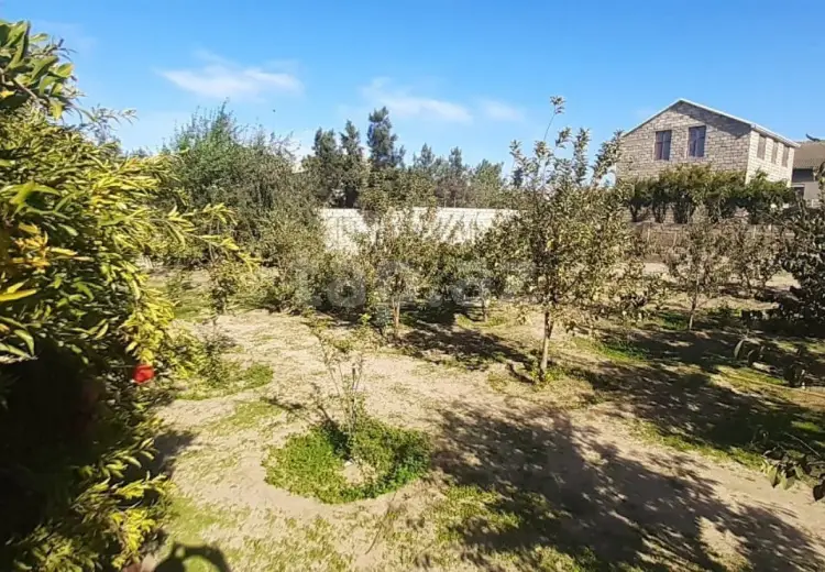 0 m² Obyekt / Ofis , Bilgəh qəs., Sabunçu, Bakı
