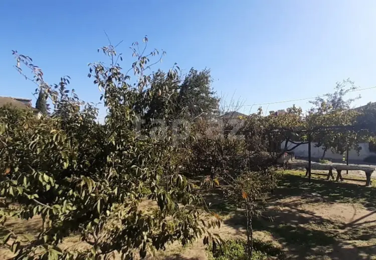 0 m² Obyekt / Ofis , Bilgəh qəs., Sabunçu, Bakı