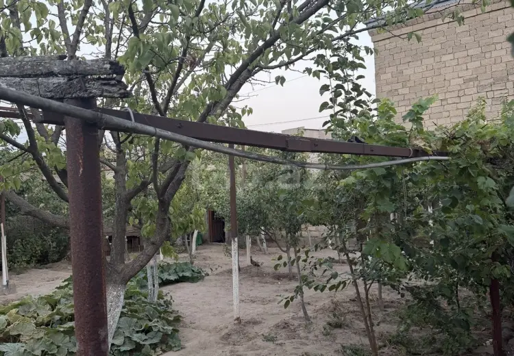 0 m² Obyekt / Ofis , Buzovna, Xəzər, Bakı