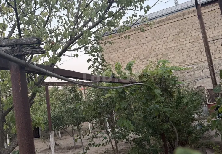 0 m² Obyekt / Ofis , Buzovna, Xəzər, Bakı