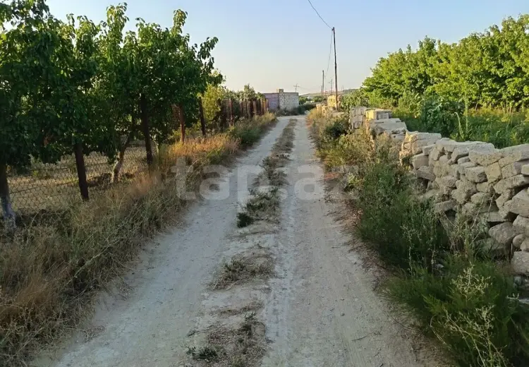 0 m² Obyekt / Ofis , Zirə, Xəzər, Bakı