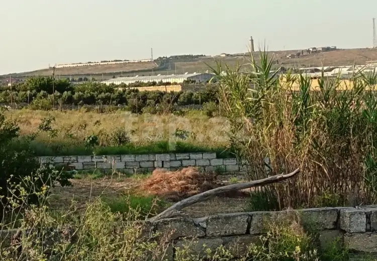 0 m² Obyekt / Ofis , Zirə, Xəzər, Bakı