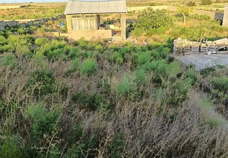 20 sot Torpaq Satılır, Qala, Xəzər, Bakı
