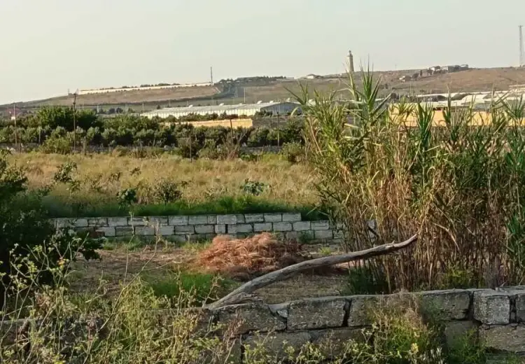 20 sot Torpaq Satılır, Qala, Xəzər, Bakı