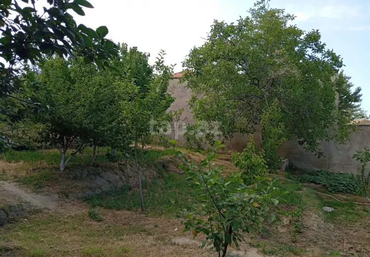 0 m² Obyekt / Ofis , Qaraçuxur qəs., Suraxanı, Bakı