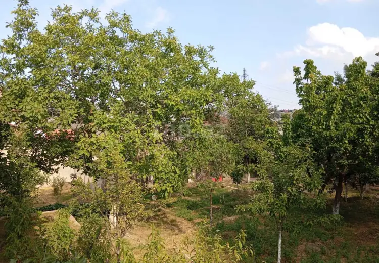 0 m² Obyekt / Ofis , Qaraçuxur qəs., Suraxanı, Bakı