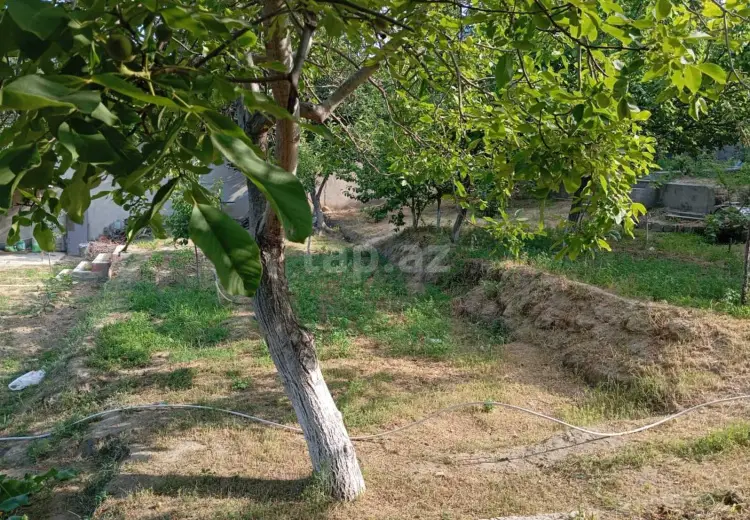 0 m² Obyekt / Ofis , Qaraçuxur qəs., Suraxanı, Bakı