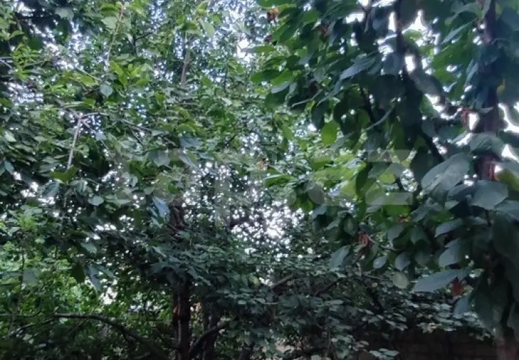 3 otaqlı mənzil , Quba
