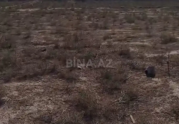 2 sot Torpaq Satılır, Zabrat qəs., Sabunçu, Bakı