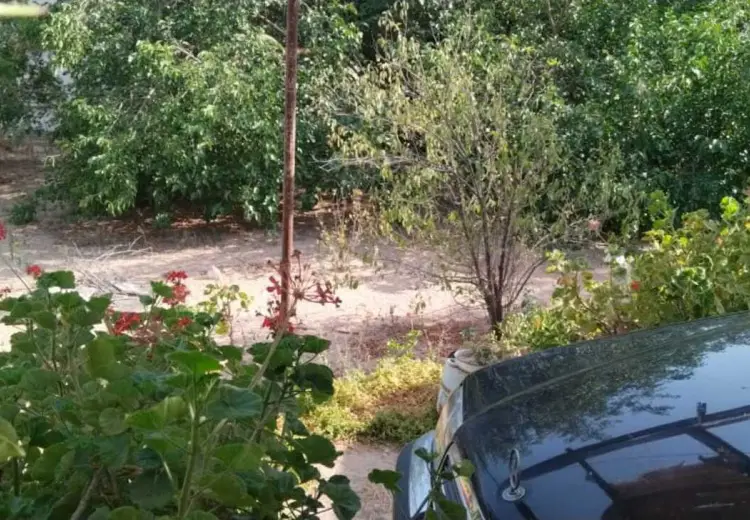 9.5 sot Torpaq Satılır, Mərdəkan, Xəzər, Bakı