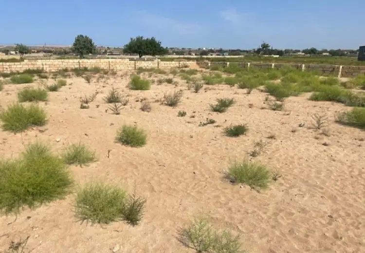 5 sot Torpaq Satılır, Nardaran qəs., Sabunçu, Bakı