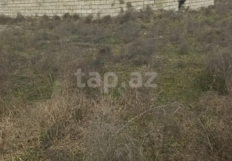 5 otaqlı mənzil , Xaçmaz