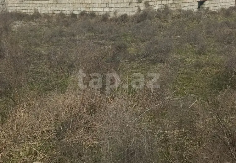 5 otaqlı mənzil , Xaçmaz