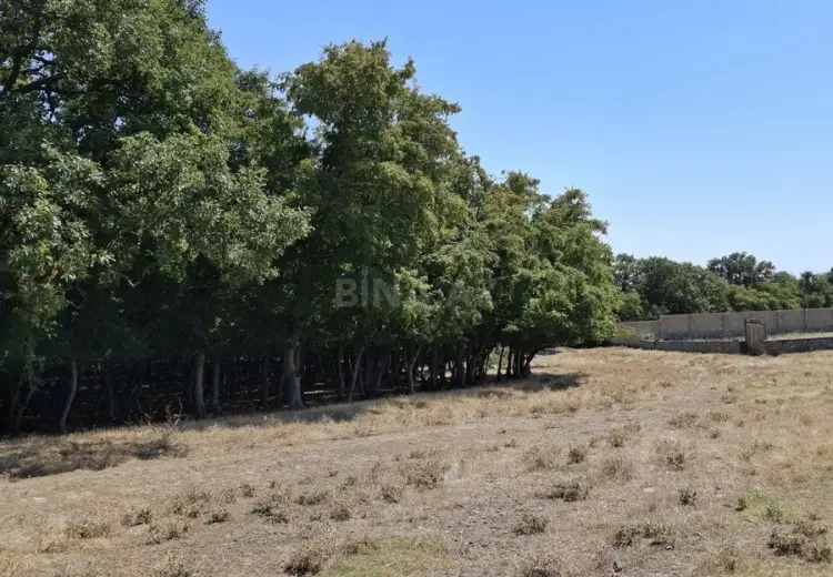 12 sot Torpaq Satılır, Şəki