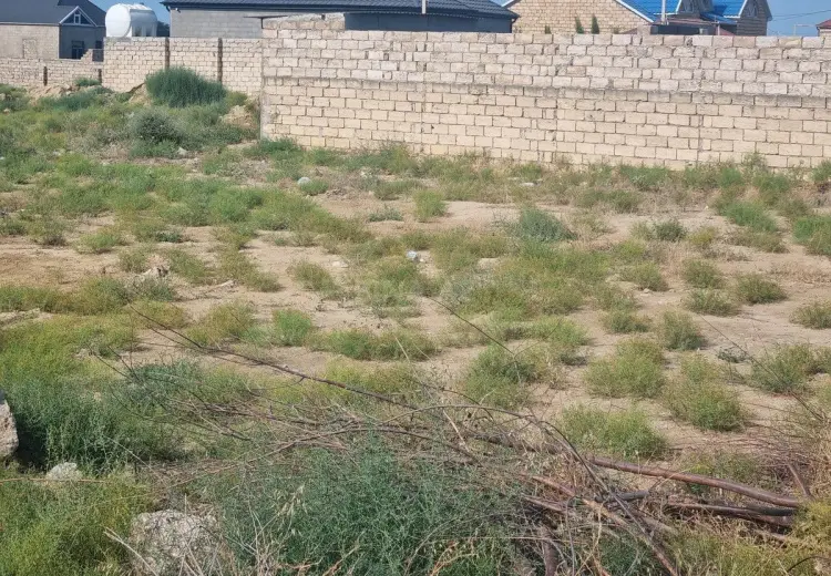 5.3 sot Torpaq Satılır, Pirşağı qəs., Sabunçu, Bakı