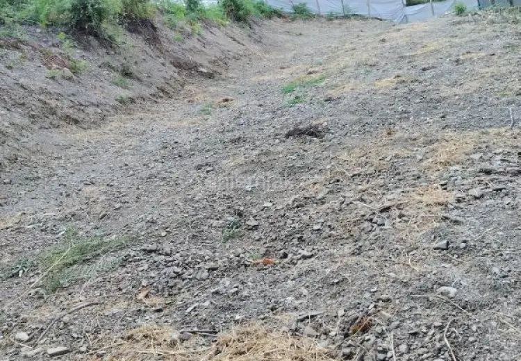 11 sot Torpaq Satılır, Qəbələ