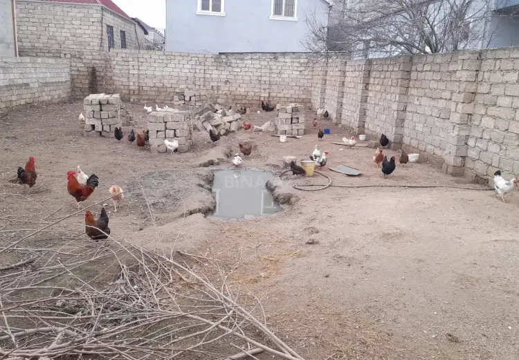 3 sot Torpaq Satılır, Ramana qəs., Sabunçu, Bakı