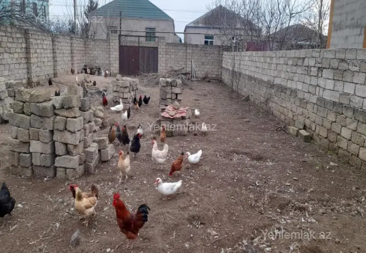 3 sot Torpaq Satılır, Ramana qəs., Sabunçu, Bakı