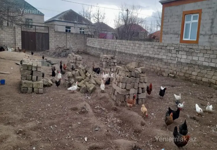 3 sot Torpaq Satılır, Ramana qəs., Sabunçu, Bakı