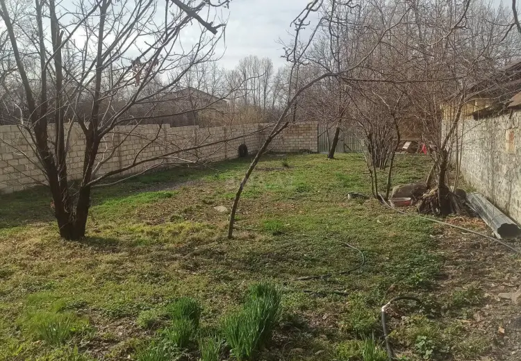 4.3 sot Torpaq Satılır, Qəbələ