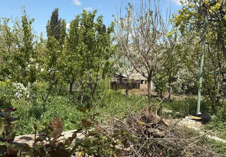 0 m² Obyekt / Ofis , Masazır, Abşeron