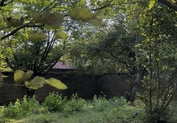 38 sot Torpaq Satılır, Qəbələ