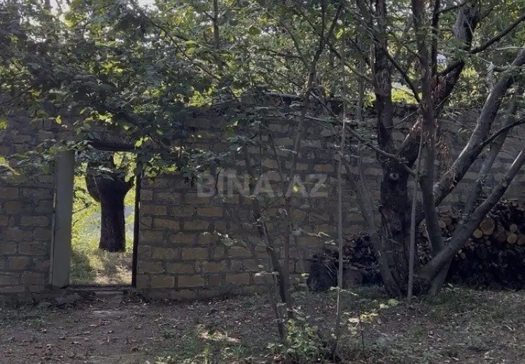 38 sot Torpaq Satılır, Qəbələ