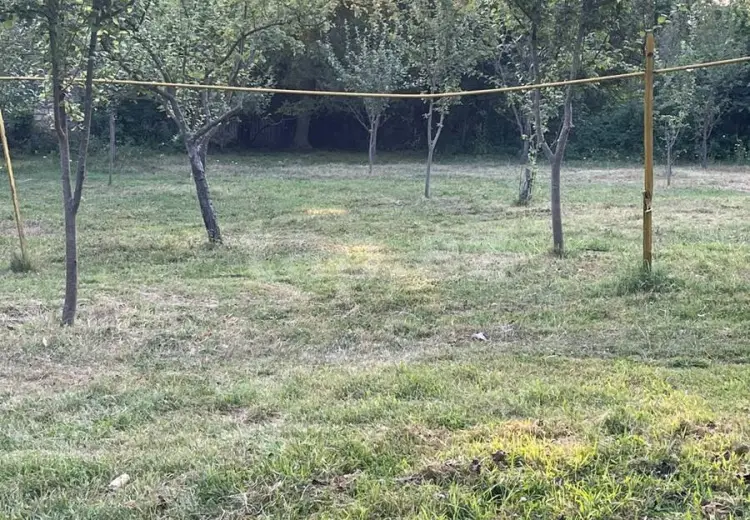 0 m² Obyekt / Ofis , Qəbələ
