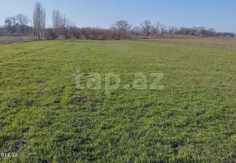 0 m² Obyekt / Ofis , Xudat
