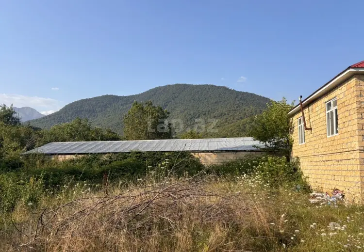 0 m² Obyekt / Ofis , Qəbələ