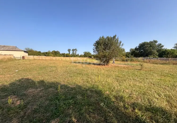 0 m² Obyekt / Ofis , Qəbələ