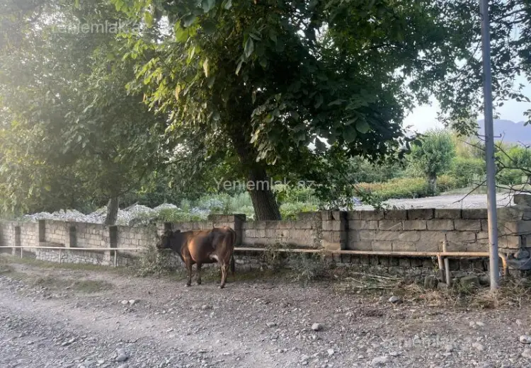 6 sot Torpaq Satılır, Qəbələ