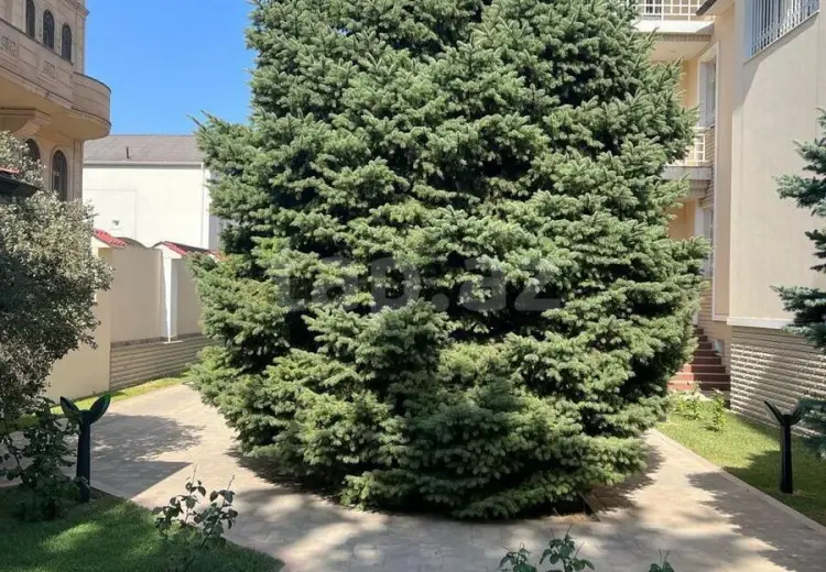 8 otaqlı mənzil , Bakı