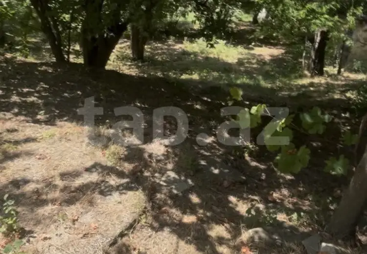0 m² Obyekt / Ofis , Xızı
