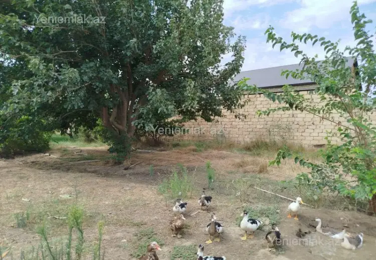 12 sot Torpaq Satılır, Saray, Abşeron
