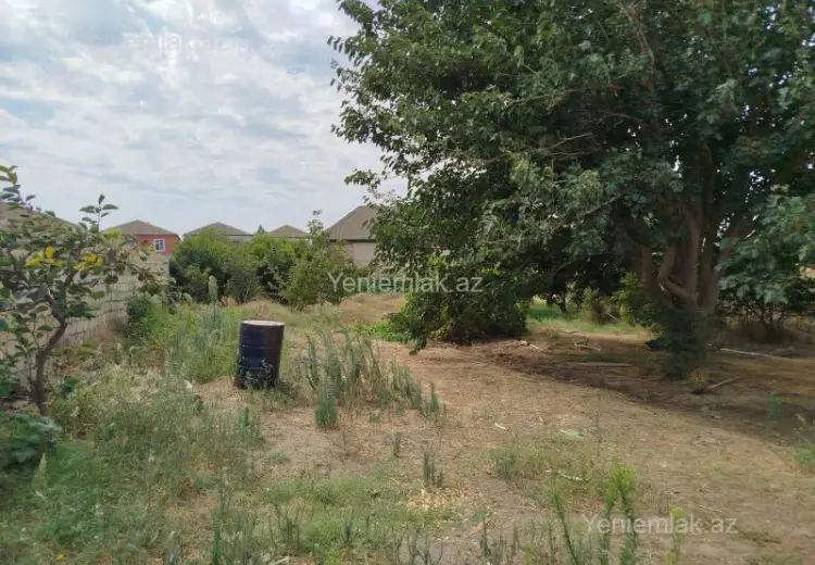 12 sot Torpaq Satılır, Saray, Abşeron