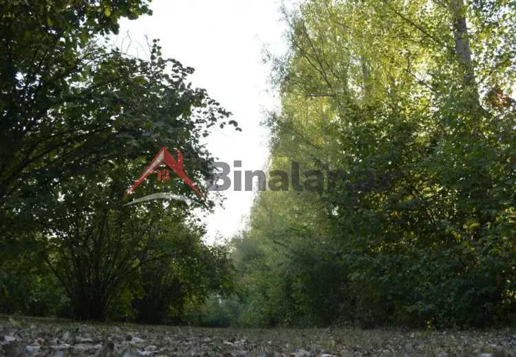 55 sot Torpaq Satılır, Oğuz