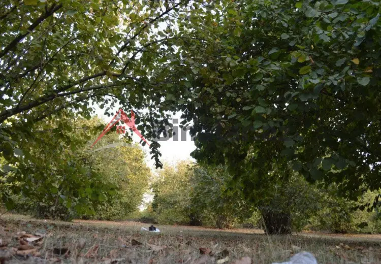 55 sot Torpaq Satılır, Oğuz