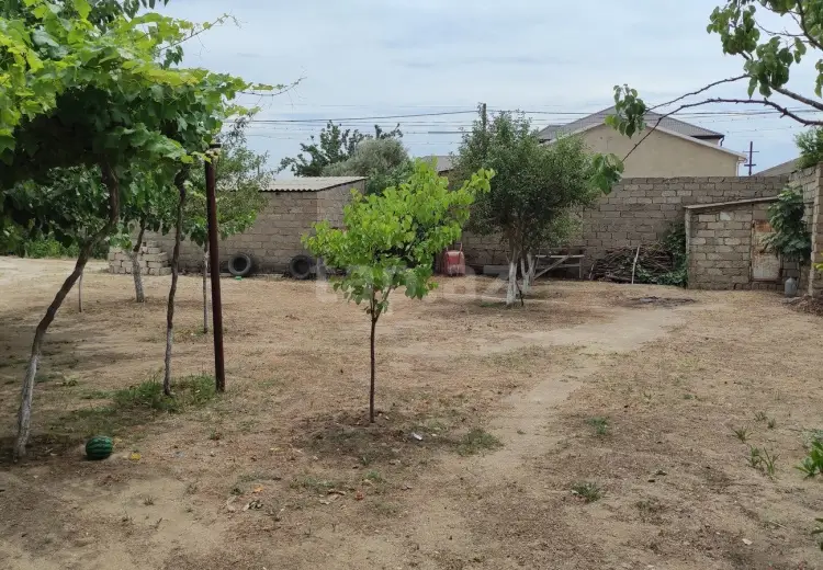 0 m² Obyekt / Ofis , Bakı