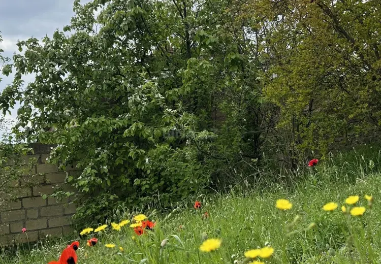 31 sot Torpaq Satılır, Gəncə