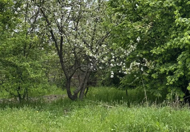 31 sot Torpaq Satılır, Gəncə
